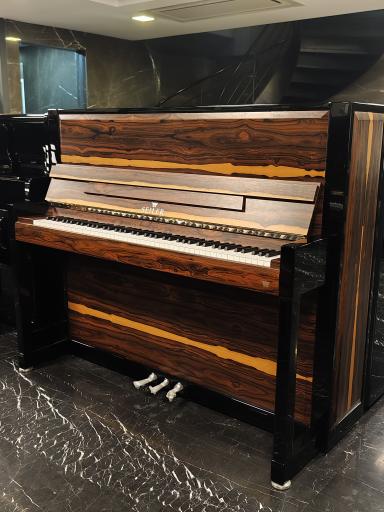 عکس پیانو باربد