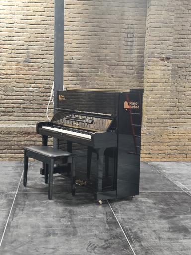 عکس پیانو باربد