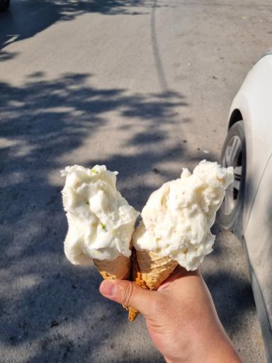 عکس بستنی نوبهار