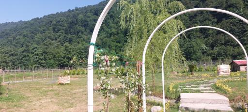 عکس هتل آریانا