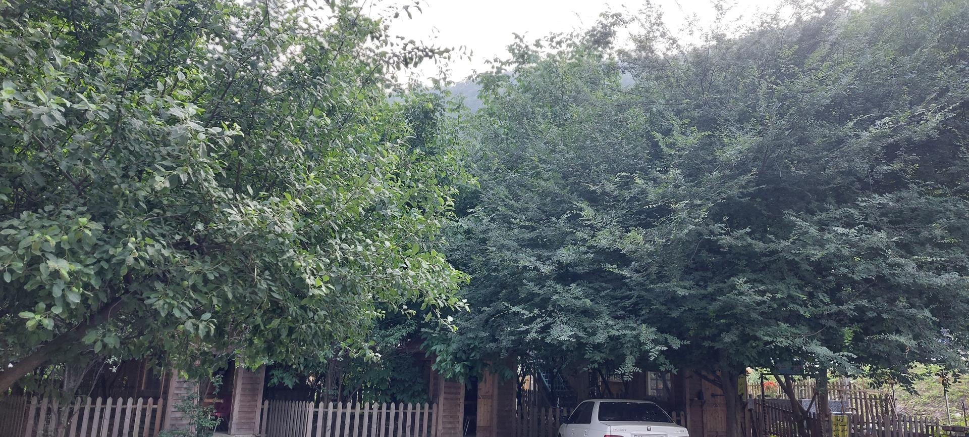 عکس هتل آریانا