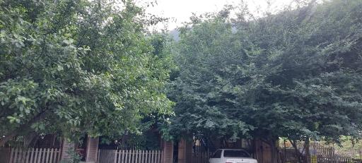 عکس هتل آریانا