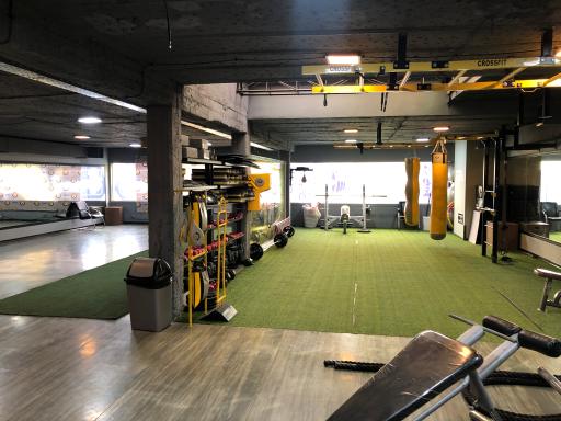 عکس مجموعه ورزشی احد