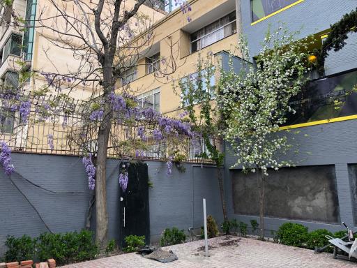 عکس مجموعه ورزشی احد