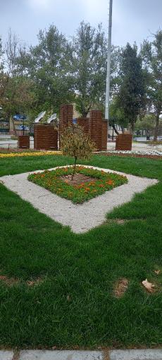 عکس میدان تختی (سعدآباد)