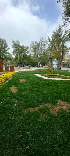 عکس میدان تختی (سعدآباد)