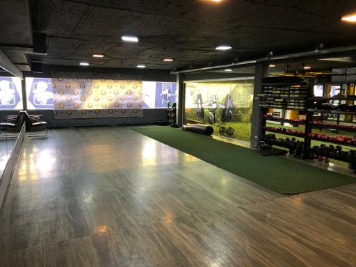 عکس مجموعه ورزشی احد