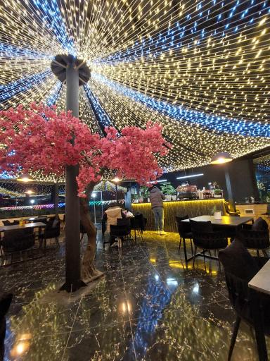 عکس کافه بستنی  علیرضا