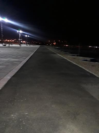 عکس بوستان سرو