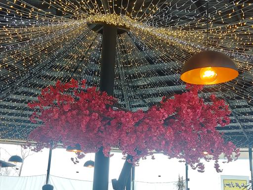 عکس کافه بستنی  علیرضا