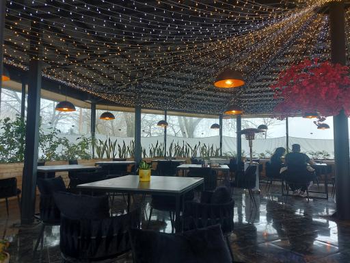 عکس کافه بستنی  علیرضا