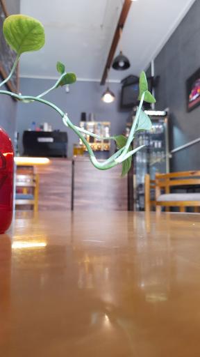 عکس کافه رویال