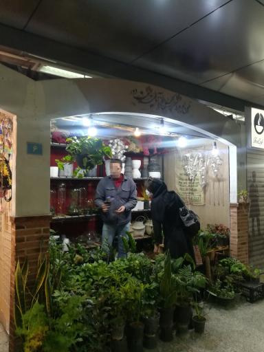 عکس گل و گیاه آپارتمانی ( داخل مترو نوبنیاد)