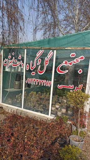 عکس گلخانه دشت نسترن