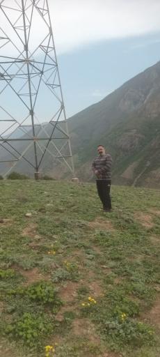 عکس سیمت