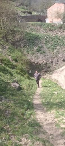 عکس سیمت