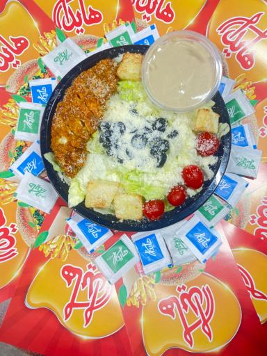 عکس ساندویچ هایدا