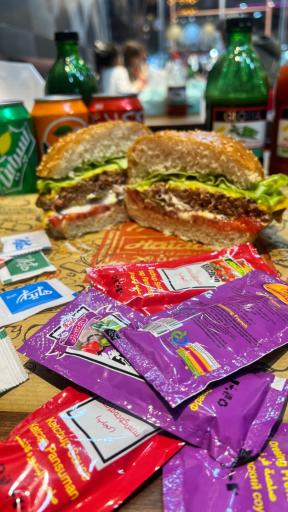 عکس ساندویچ هایدا