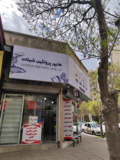 عکس فروشگاه شیلات