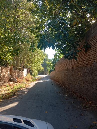 عکس هیو