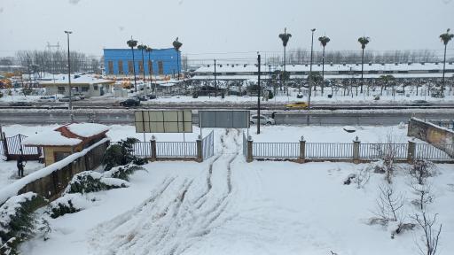 عکس شبکه لرزه نگاری رشت