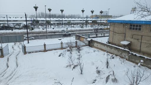 عکس شبکه لرزه نگاری رشت