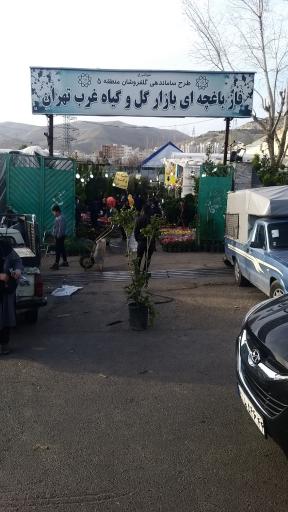 عکس بازار گل و گیاه غرب تهران فاز باغچه ای