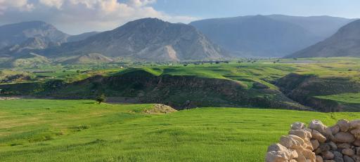 عکس دشت سوسن ایذه