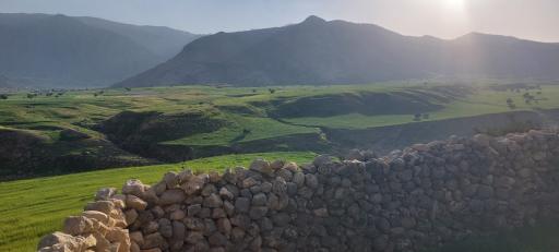 عکس دشت سوسن ایذه