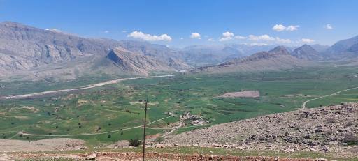 عکس دشت سوسن ایذه