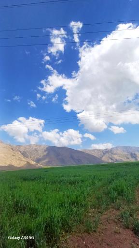 عکس دشت سوسن ایذه