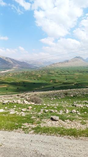 عکس دشت سوسن ایذه