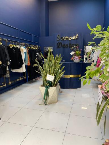 عکس سان ست دیزاین