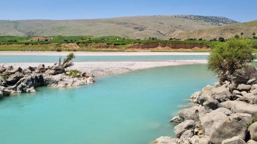 عکس دشت سوسن ایذه