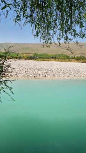 عکس دشت سوسن ایذه