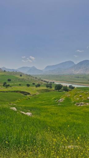 عکس دشت سوسن ایذه