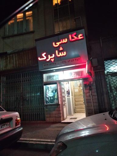 عکس عکاسی شاپرک