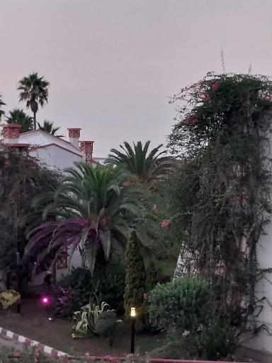 عکس هتل ساحلی شهر (بانک شهر)