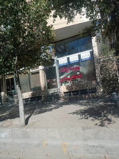 عکس دکتر شیوا شکوری نجفی