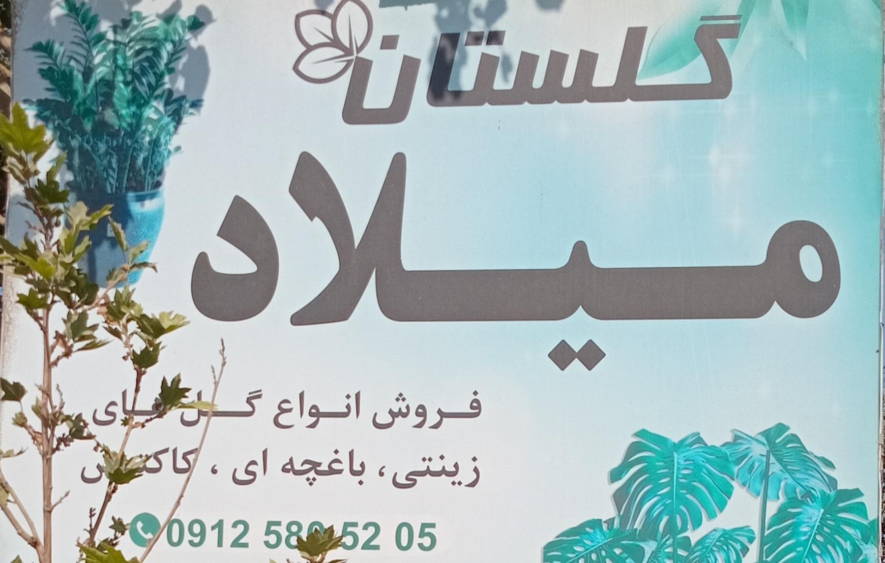 عکس گلستان میلاد 