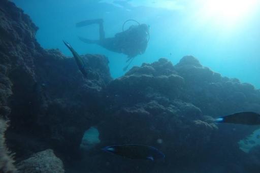 عکس مرکز غواصی ایران زمین