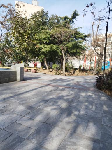 عکس بوستان نارنجستان