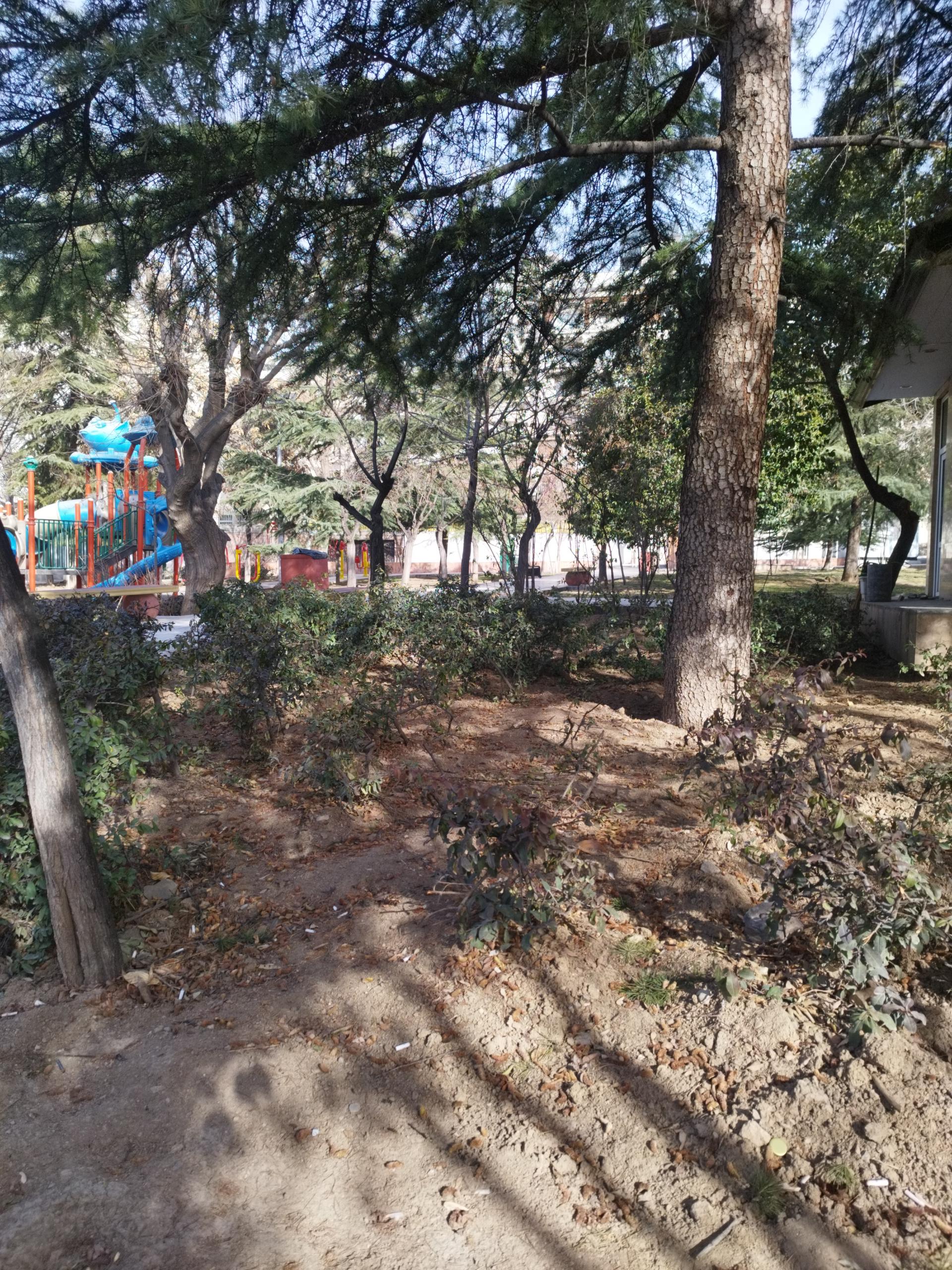 عکس بوستان نارنجستان