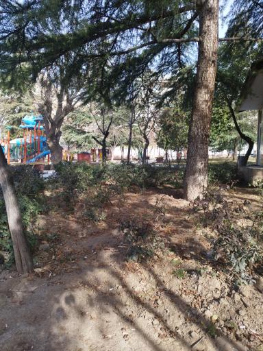 عکس بوستان نارنجستان