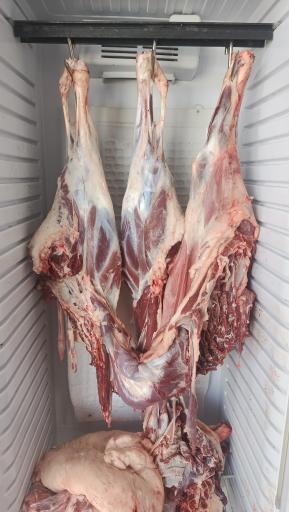 عکس زرین‌ پروتئین