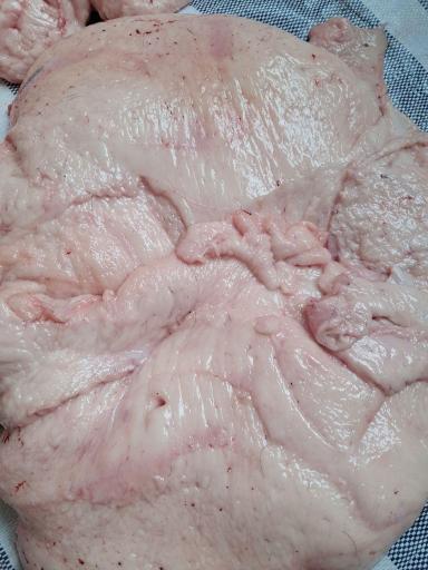 عکس زرین‌ پروتئین