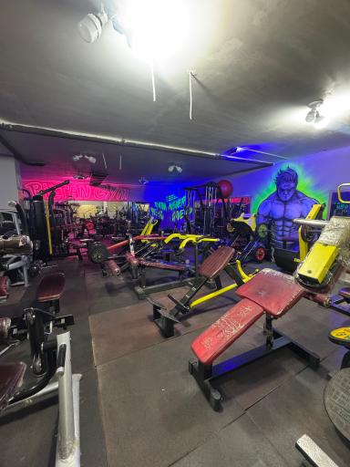 عکس باشگاه بدنسازی پیل تن