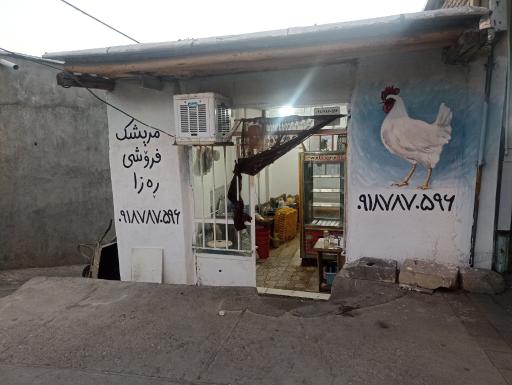 عکس مرغ فروشی رضا