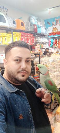 عکس مجموعه پت شاپ گارفیلد