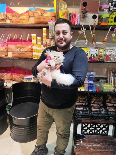 عکس مجموعه پت شاپ گارفیلد